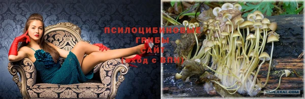 МДМА Абдулино